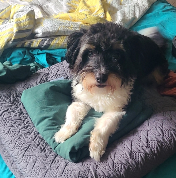 Like this post to be notified when I go live! - Picture 6 of 17